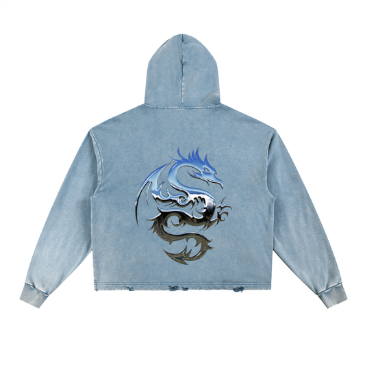 House Dragon Hoodie 020